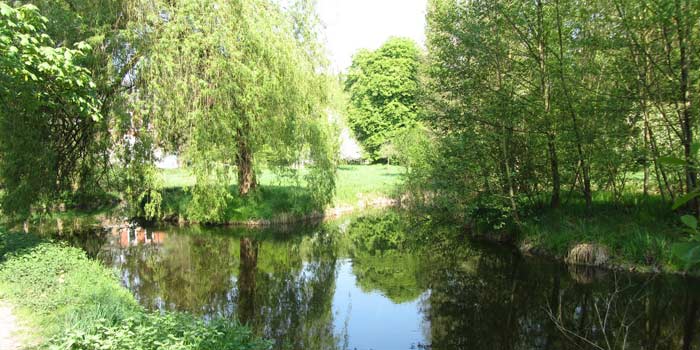 ... Natur pur inmitten des herrlichen Naturparks Maas - Schwalm - Nette.